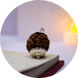 Rudraksha
