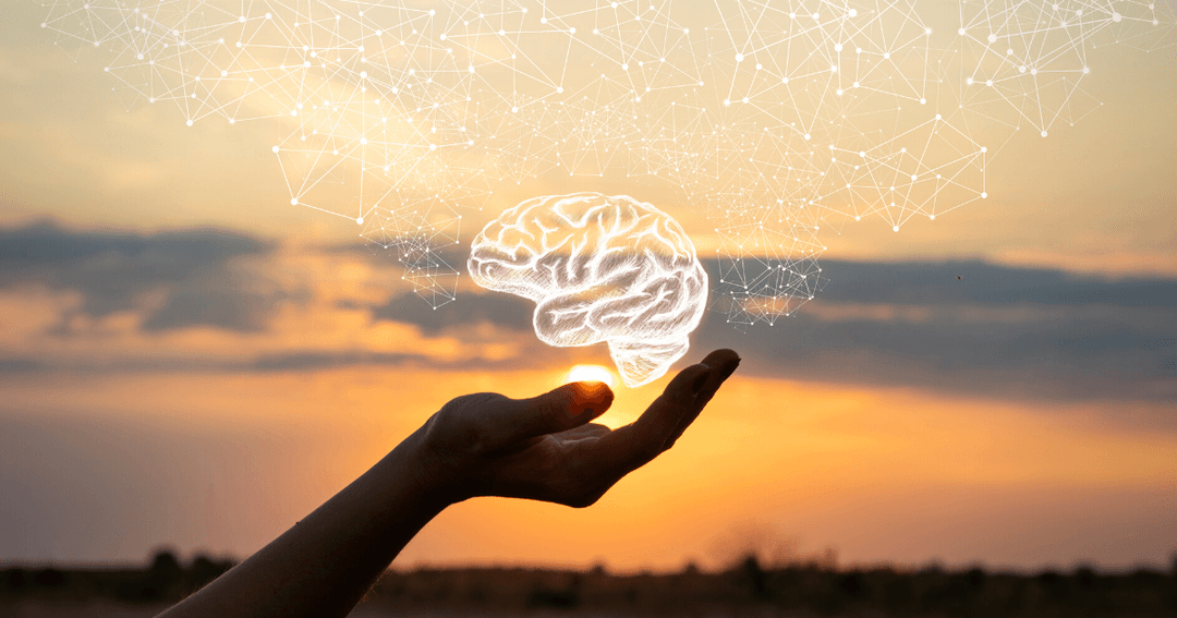 Why Is the Human Brain So Mysterious?